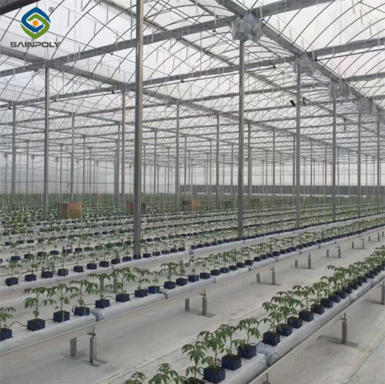 Large Plastic Covering Greenhouse Economical Solution For Agricultural