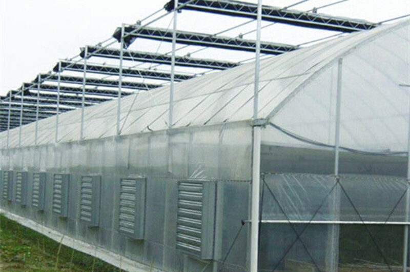 Large Plastic Covering Greenhouse Economical Solution For Agricultural