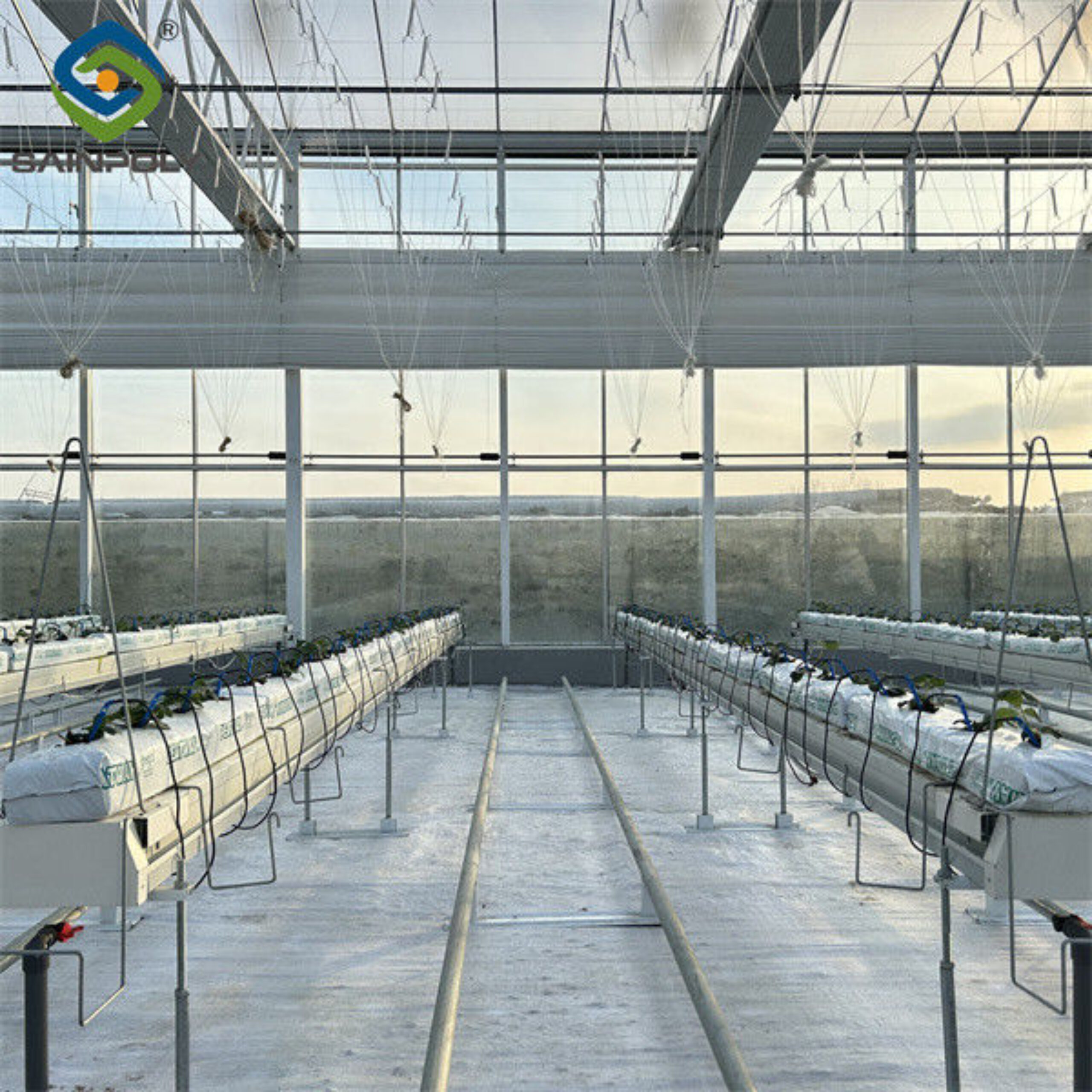 Large Scale Greenhouse Agricultural Green House Stable Structure Easily Assembled