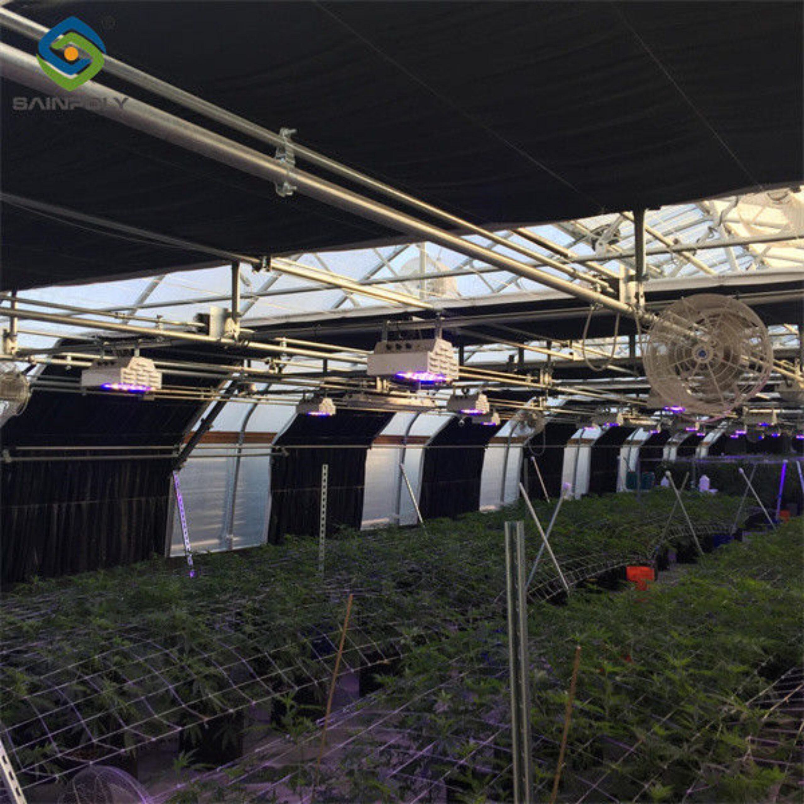 Large Size Blackout System Greenhouse With Electric Systems
