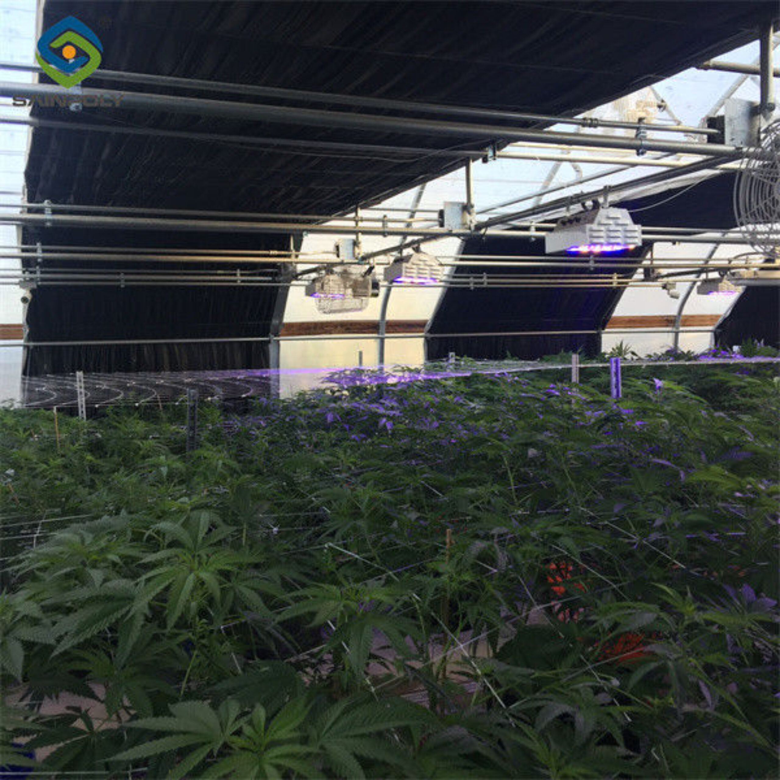Large Size Blackout System Greenhouse With Electric Systems