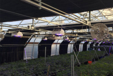 Large Size Blackout System Greenhouse With Electric Systems