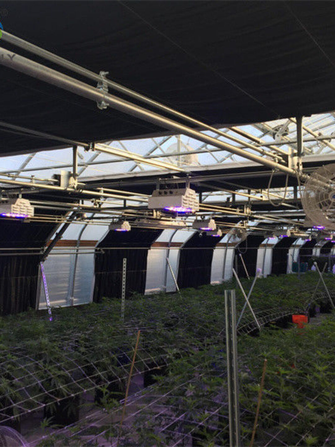 Large Size Blackout System Greenhouse With Electric Systems