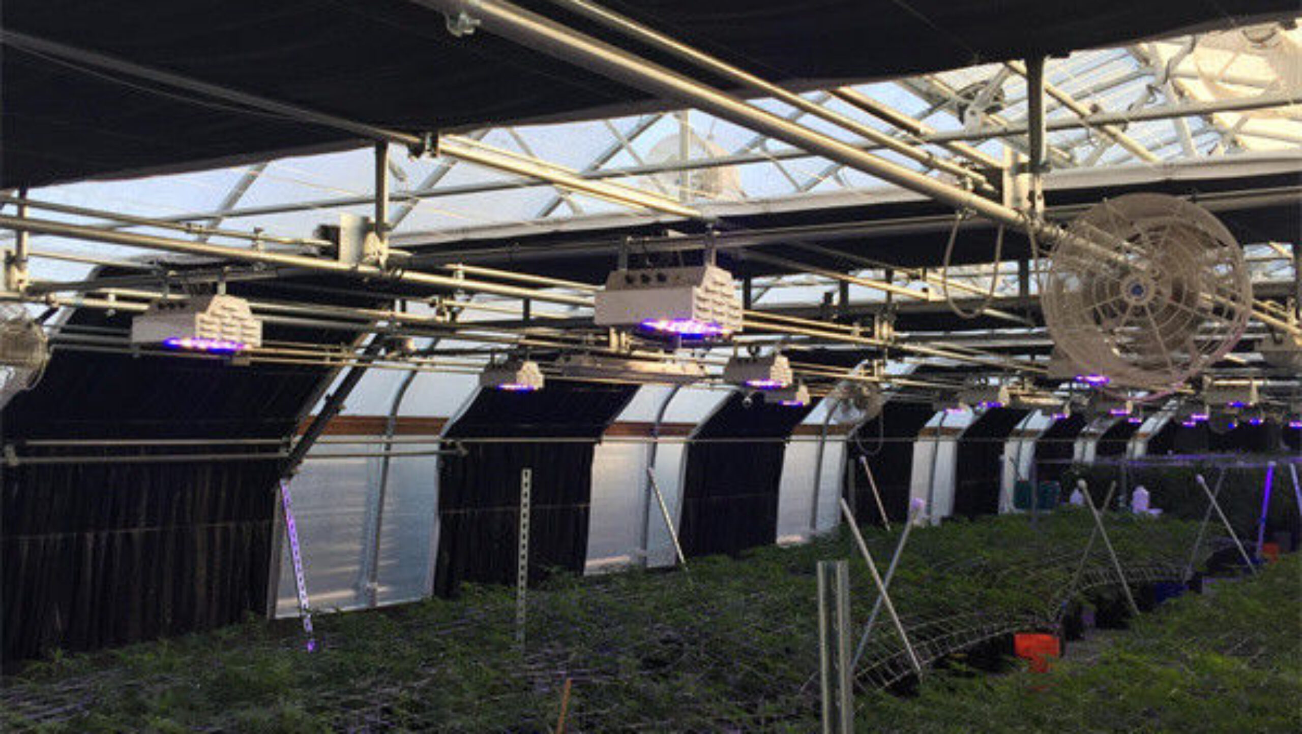 Large Size Blackout System Greenhouse With Electric Systems