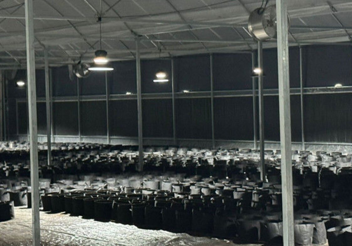 Large Size Blackout System Greenhouse With Electric Systems