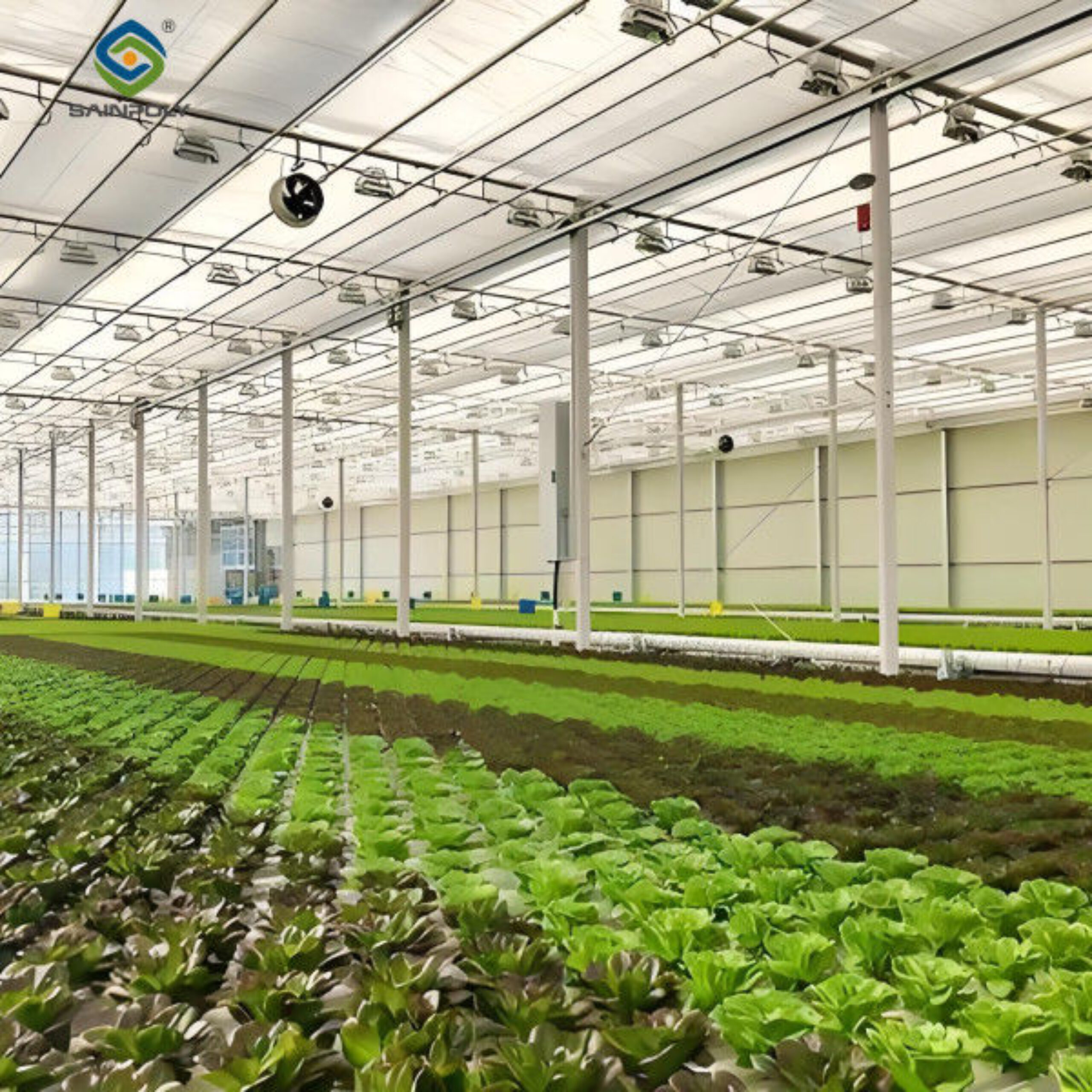 Large Size Commercial Lettuce Greenhouse With Hydroponic Growing Systems