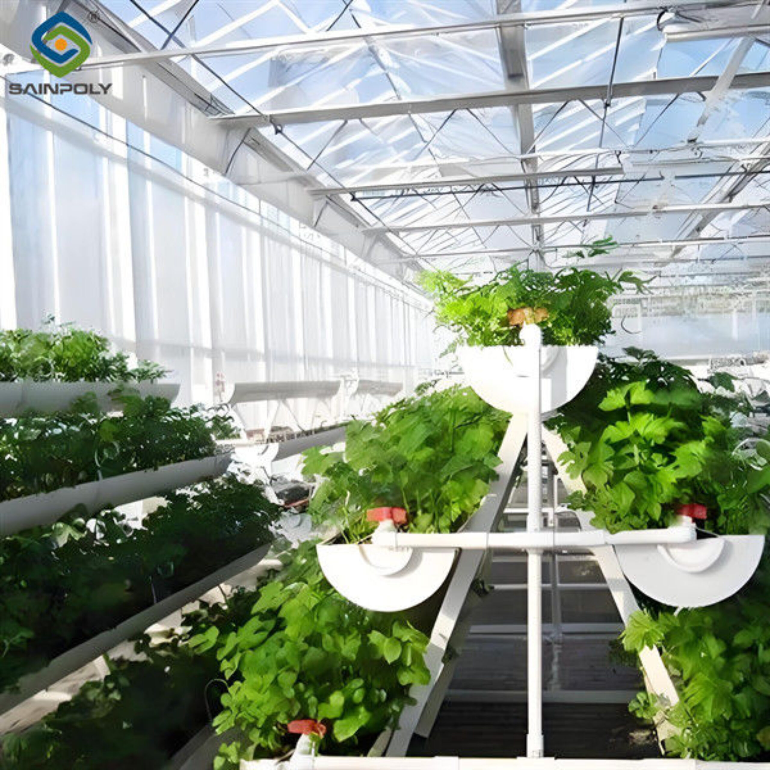 Large Size Hydroponic Farming Greenhouse For Vegetable Fruits Growth