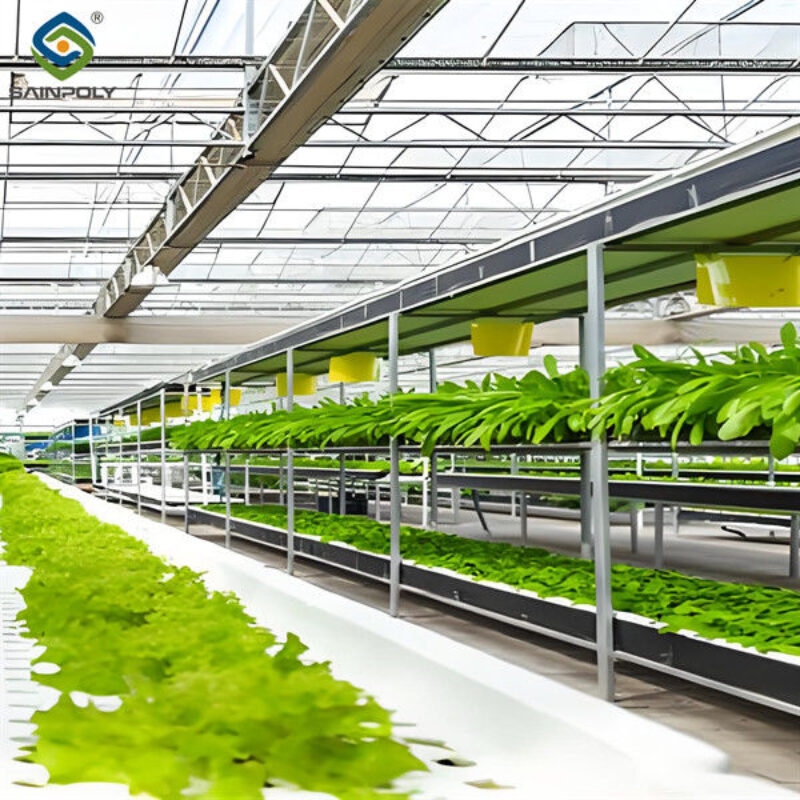 Large Size Multispan Glass Covering Smart Greenhouse Stable Structure