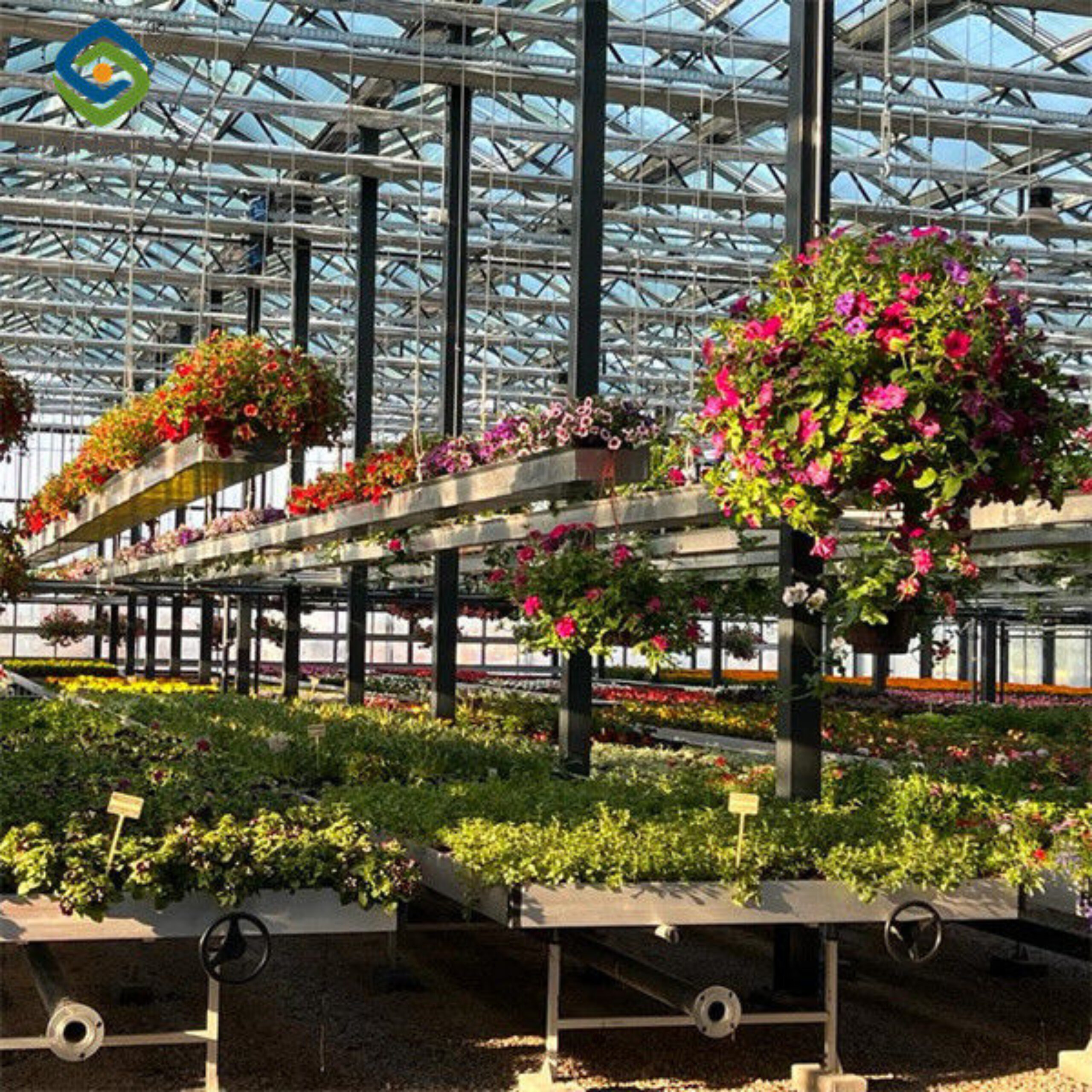 Large Size Multispan Glass Covering Smart Greenhouse Stable Structure