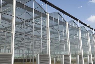 Large Size Multispan Glass Covering Smart Greenhouse Stable Structure