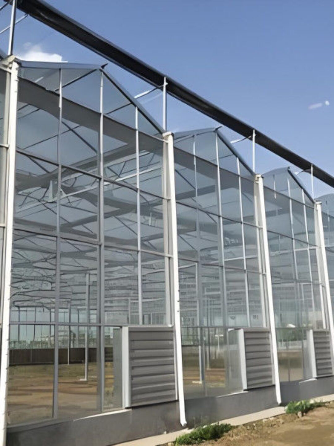 Large Size Multispan Glass Covering Smart Greenhouse Stable Structure