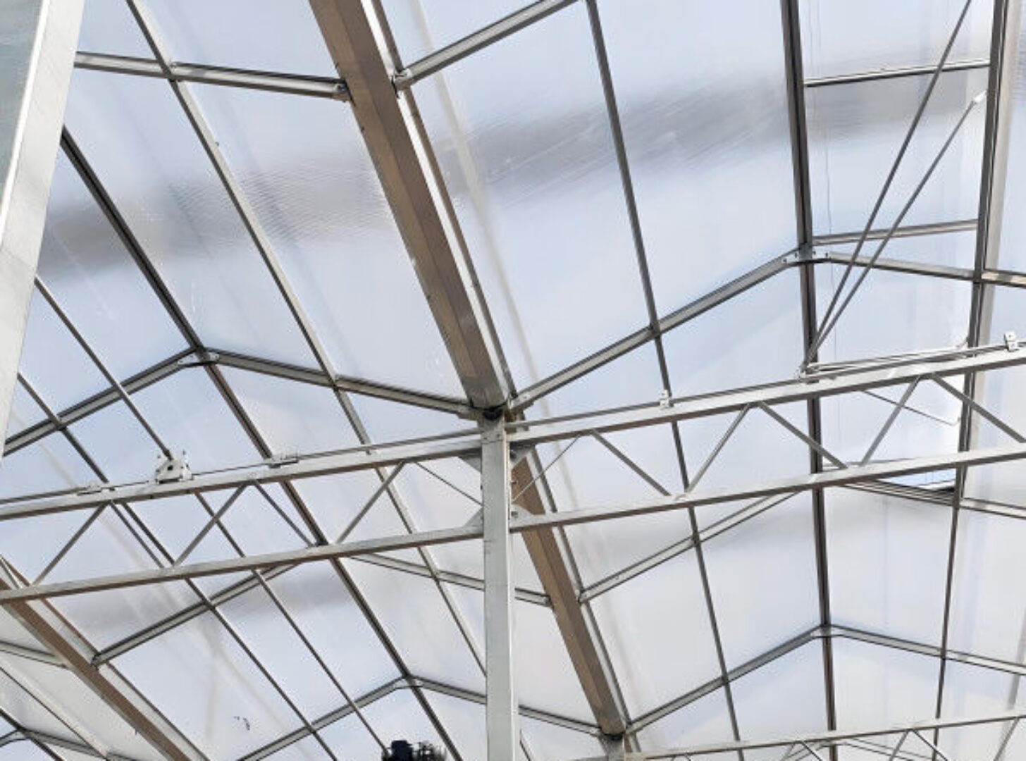 Large Size Multispan Glass Covering Smart Greenhouse Stable Structure