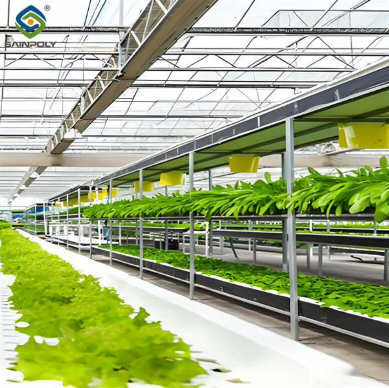 Large Size Multispan Glass Covering Smart Greenhouse Stable Structure