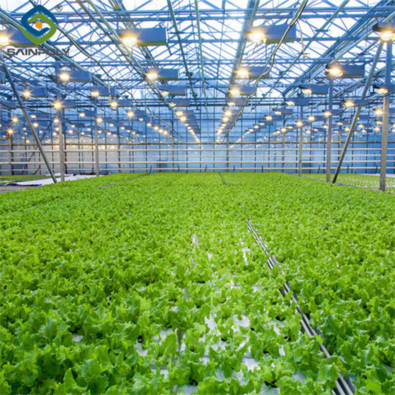 Large Size Vertical Hydroponic Greenhouse Stable Structure Easily Assembled