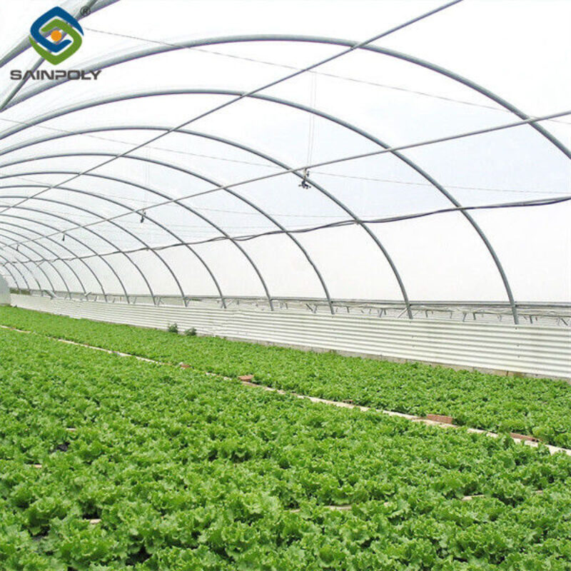 Large Size Vertical Hydroponic Greenhouse Stable Structure Easily Assembled