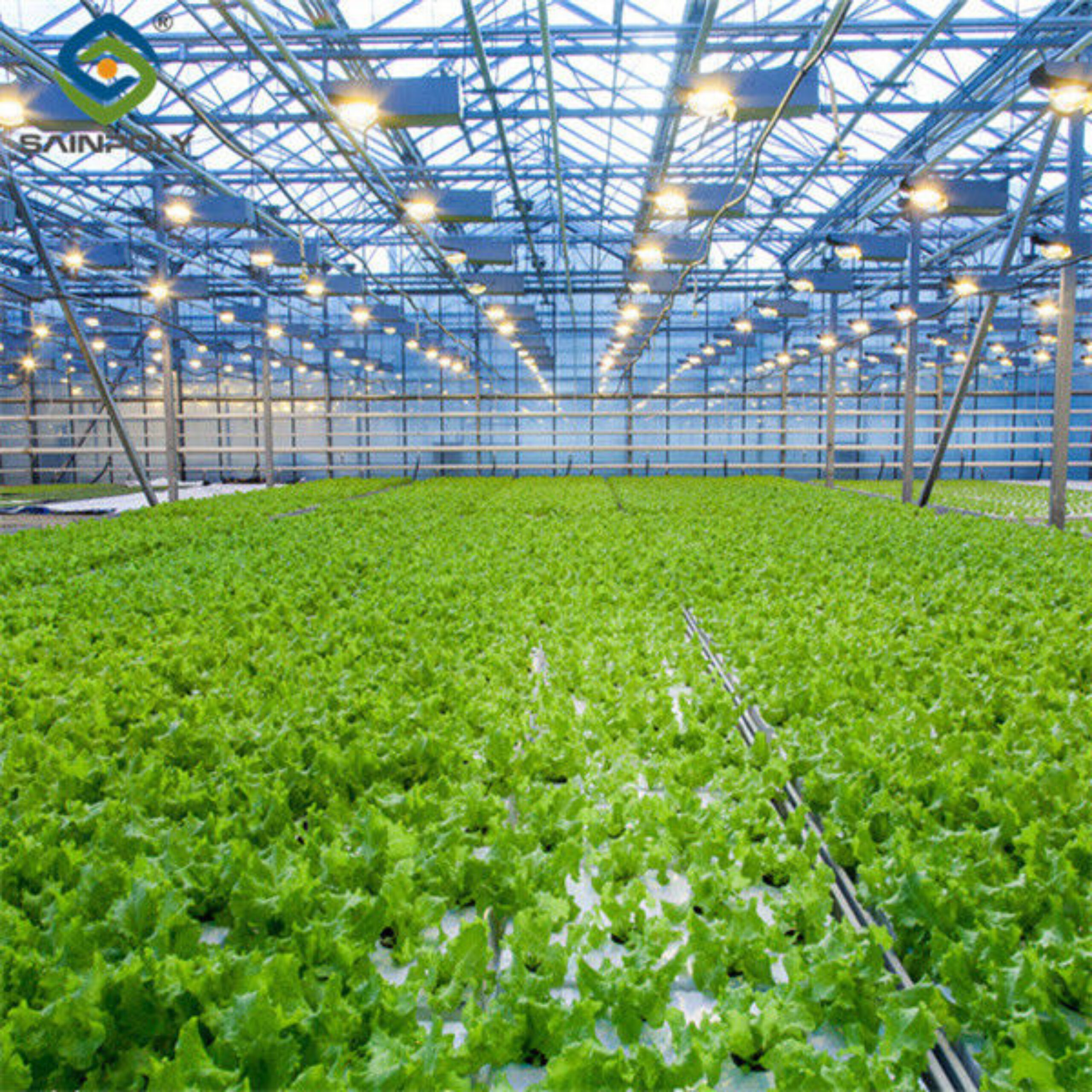 Large Size Vertical Hydroponic Greenhouse Stable Structure Easily Assembled