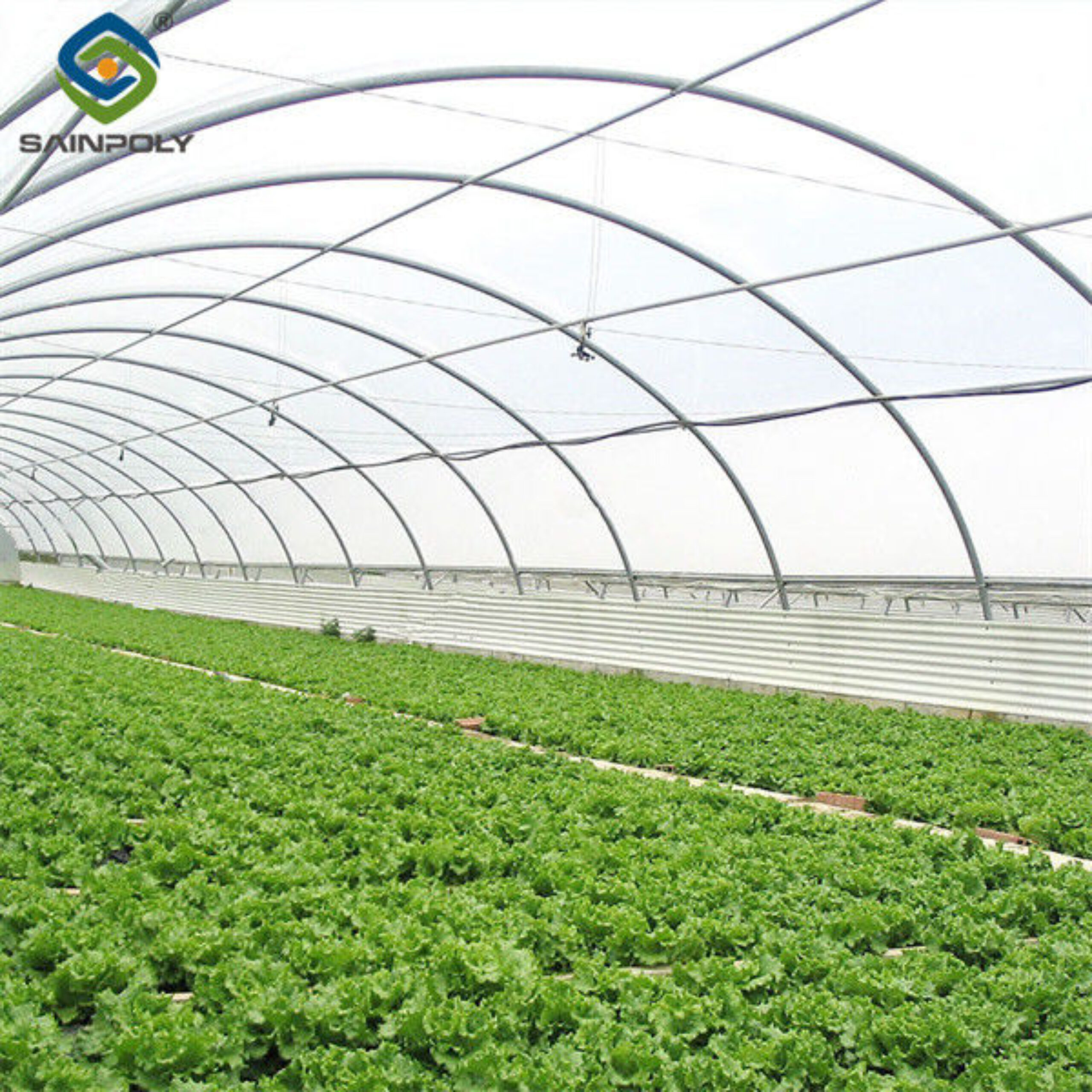 Large Size Vertical Hydroponic Greenhouse Stable Structure Easily Assembled