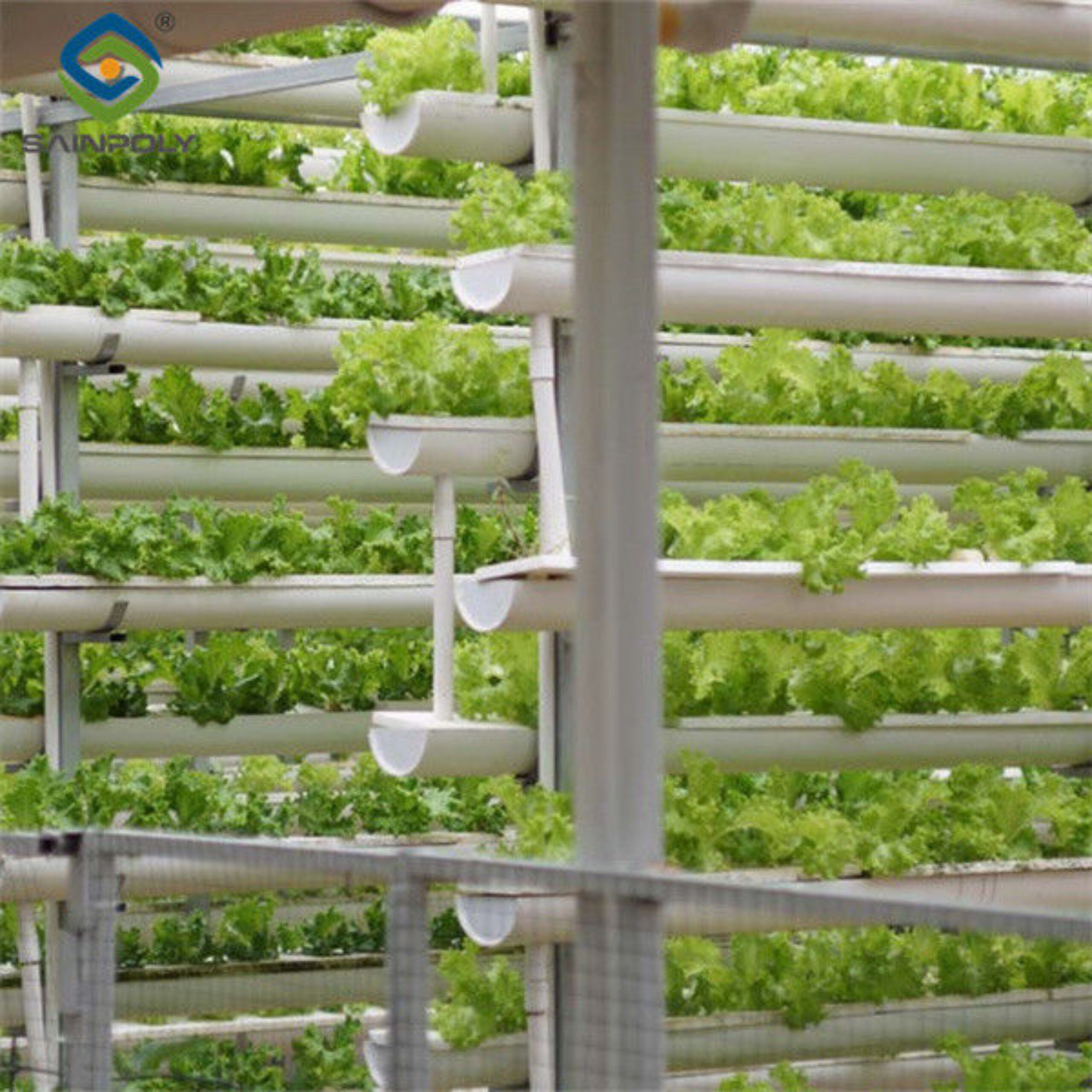 Large Size Vertical Hydroponic Greenhouse Stable Structure Easily Assembled