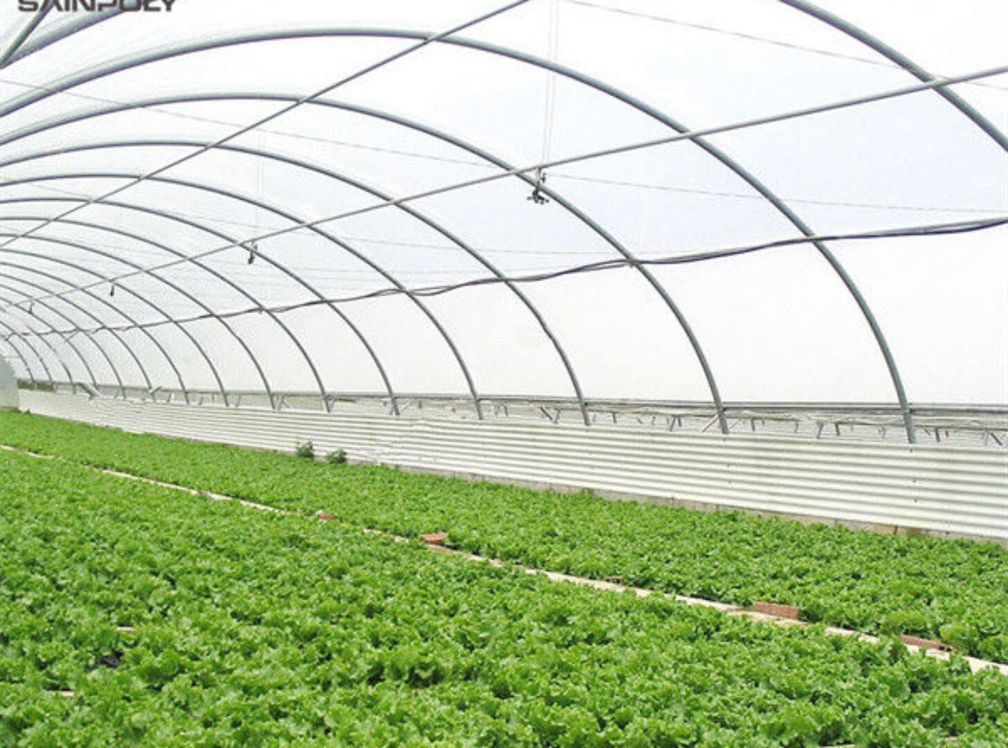 Large Size Vertical Hydroponic Greenhouse Stable Structure Easily Assembled