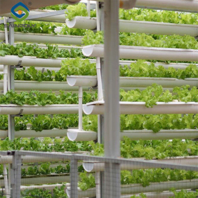 Large Size Vertical Hydroponic Greenhouse Stable Structure Easily Assembled