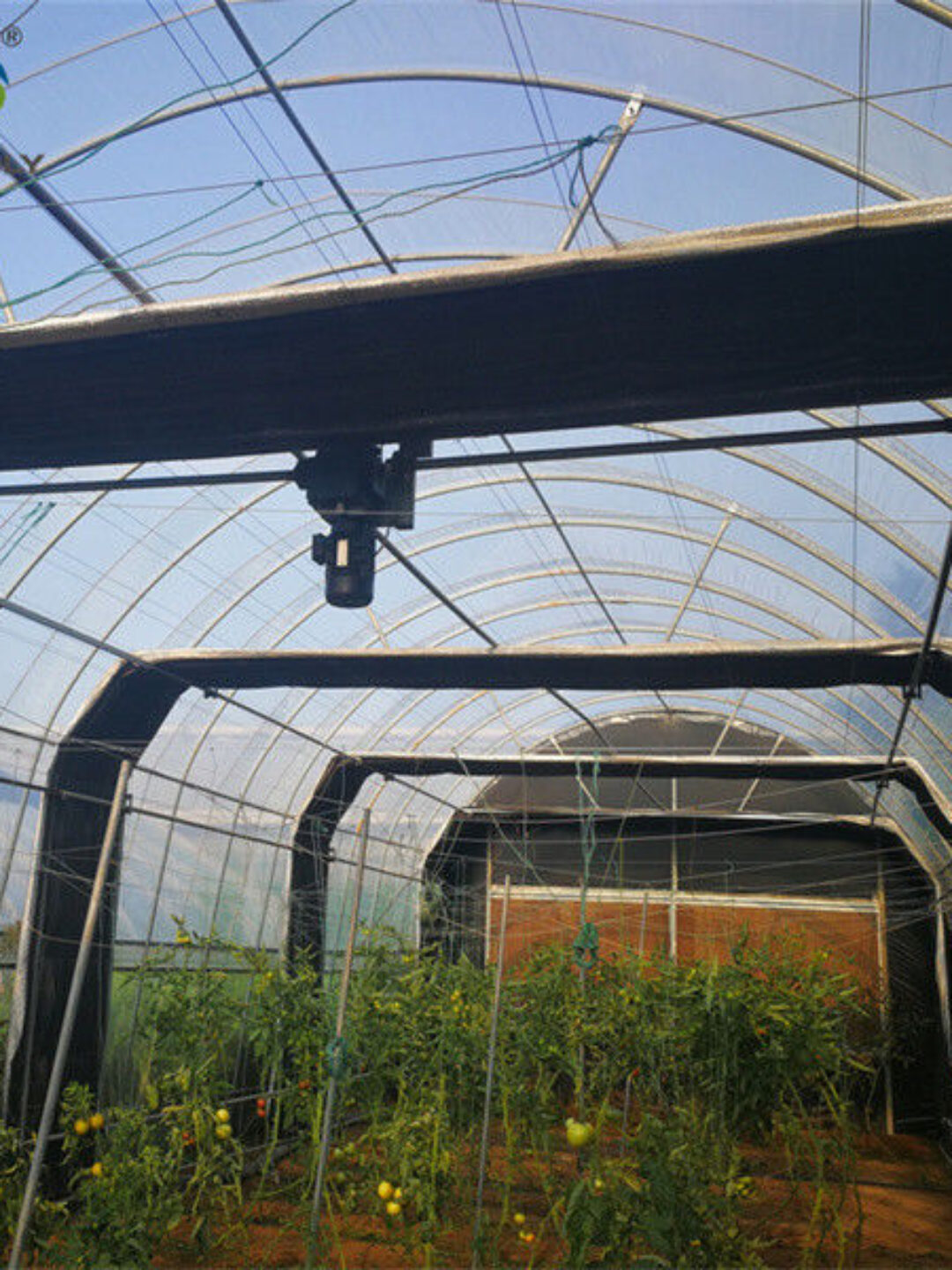 Large Smart Automated Light Deprivation Greenhouse For Agriculture