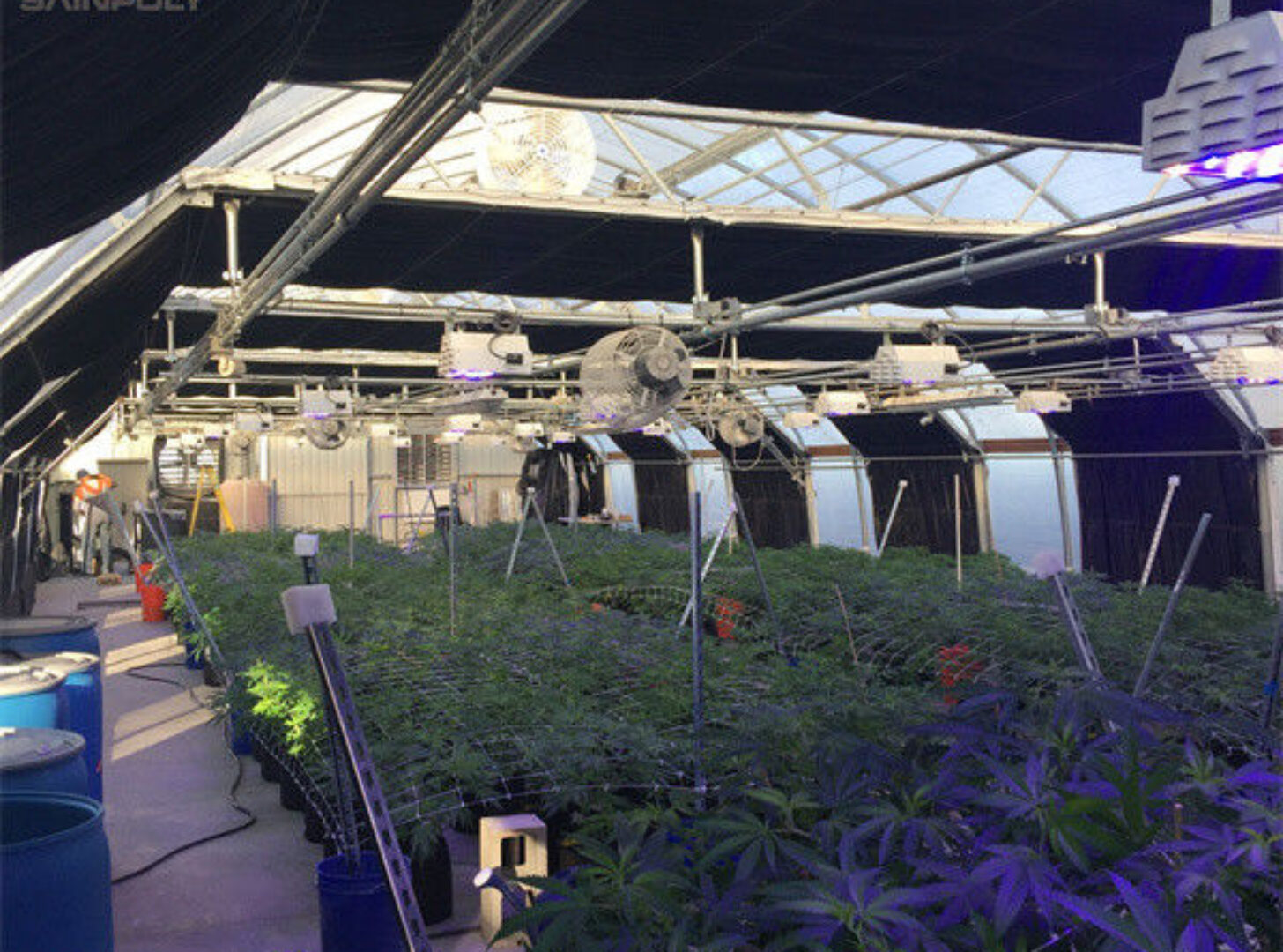 Large Smart Automated Light Deprivation Greenhouse For Agriculture