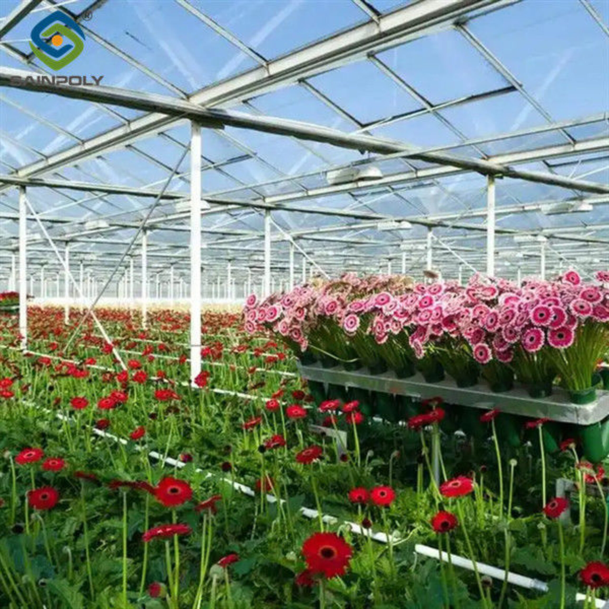 Low Maintenance Commercial Glass Greenhouse With Adjustable Roof Vents