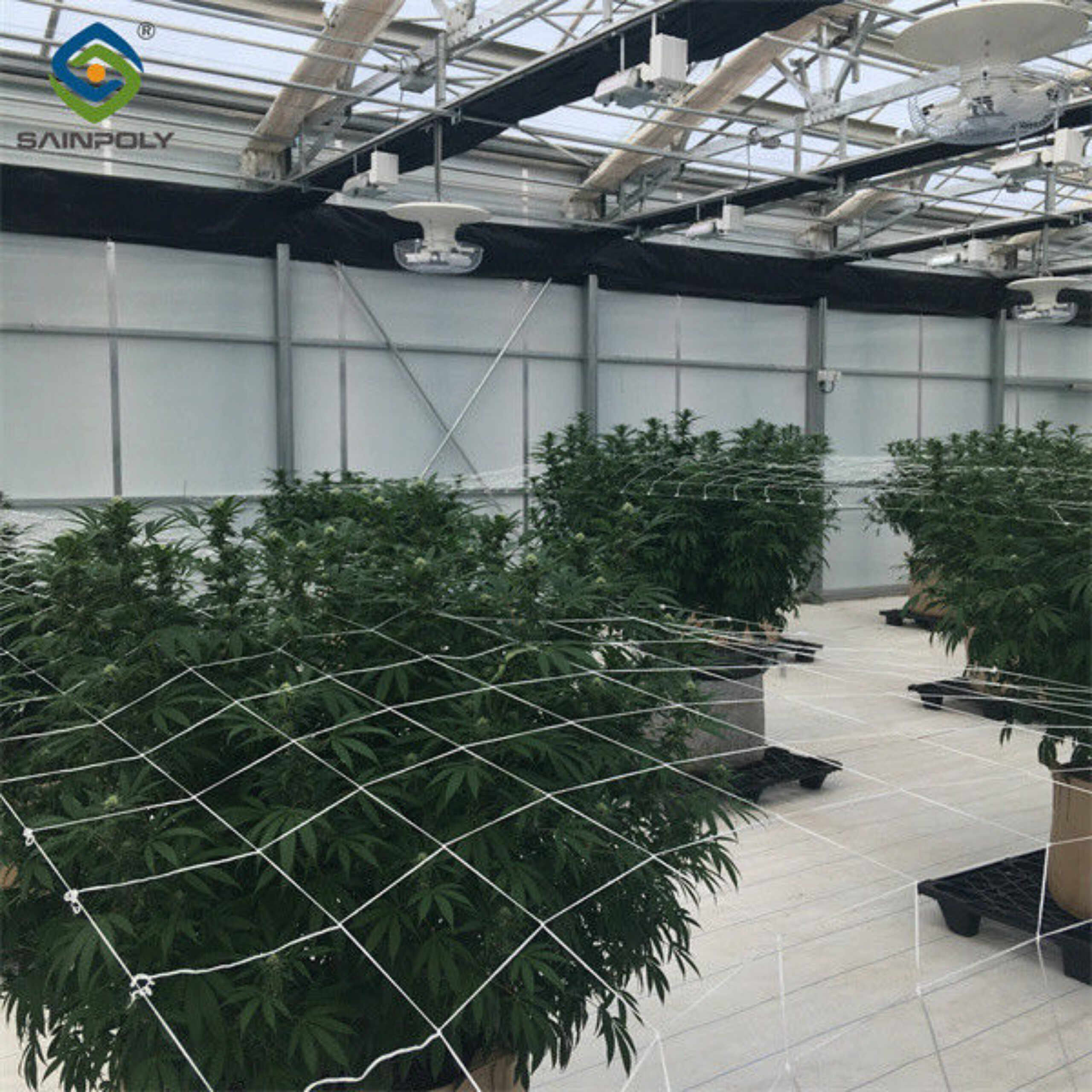 Modern Automated Light Dep Greenhouse For Special Commercial Agriculture