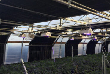 Modern Automated Light Dep Greenhouse For Special Commercial Agriculture