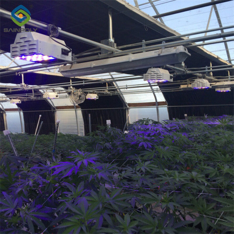 Modern Galvanized Structure Blackout Greenhouse Wind Resistance
