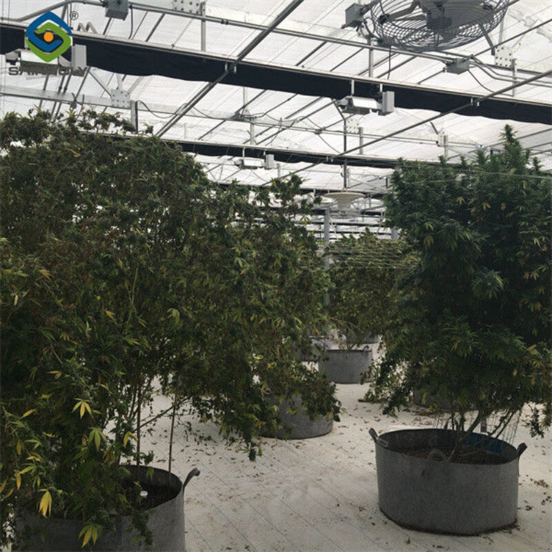 Modern Galvanized Structure Blackout Greenhouse Wind Resistance