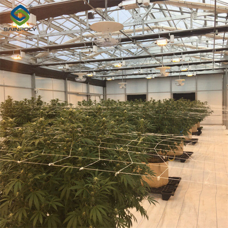 Modern Galvanized Structure Blackout Greenhouse Wind Resistance