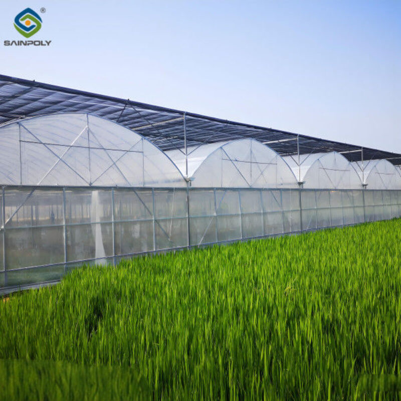 Modern Multi-span Plastic Film Greenhouse Frame Structure For Commercial Agriculture
