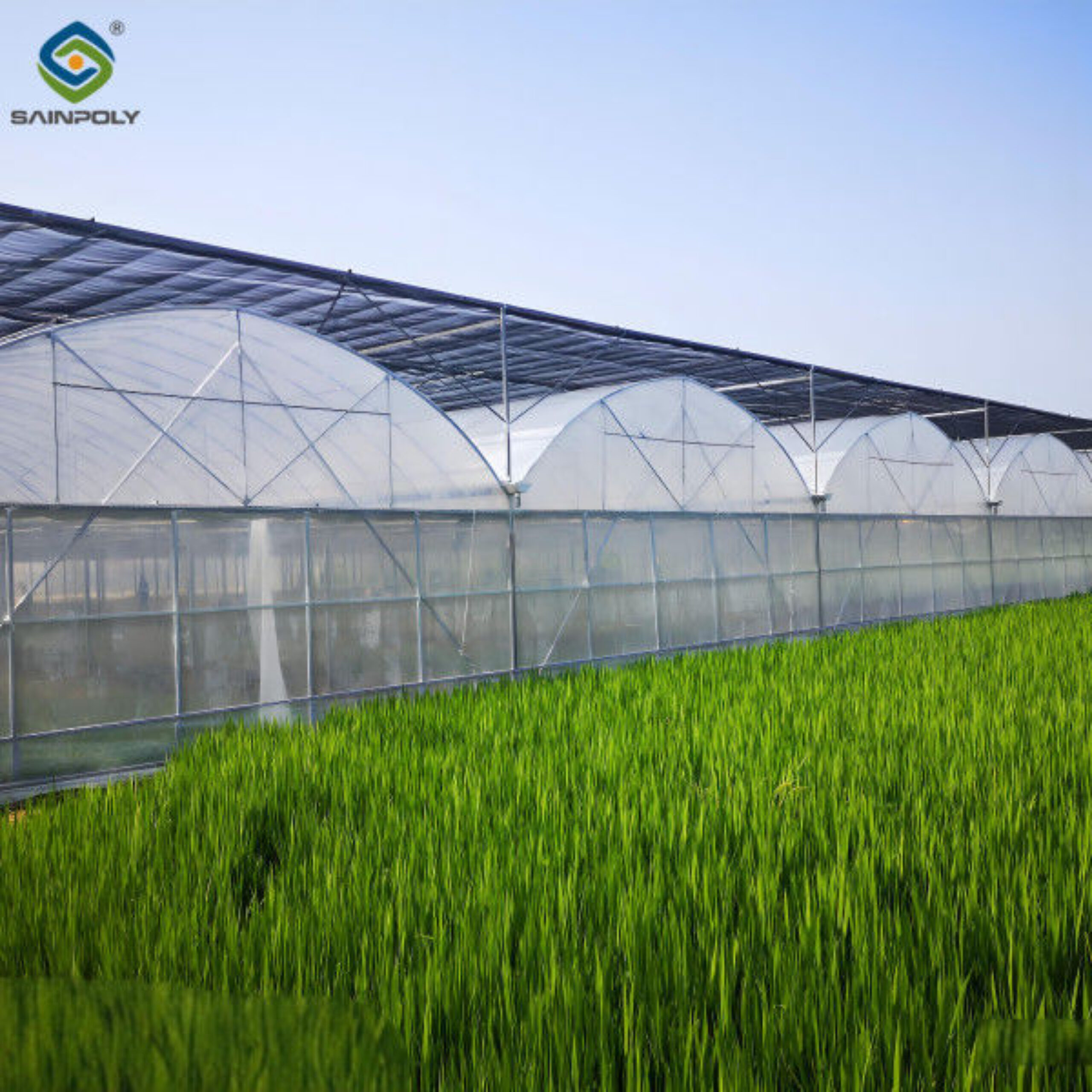 Modern Multi-span Plastic Film Greenhouse Frame Structure For Commercial Agriculture