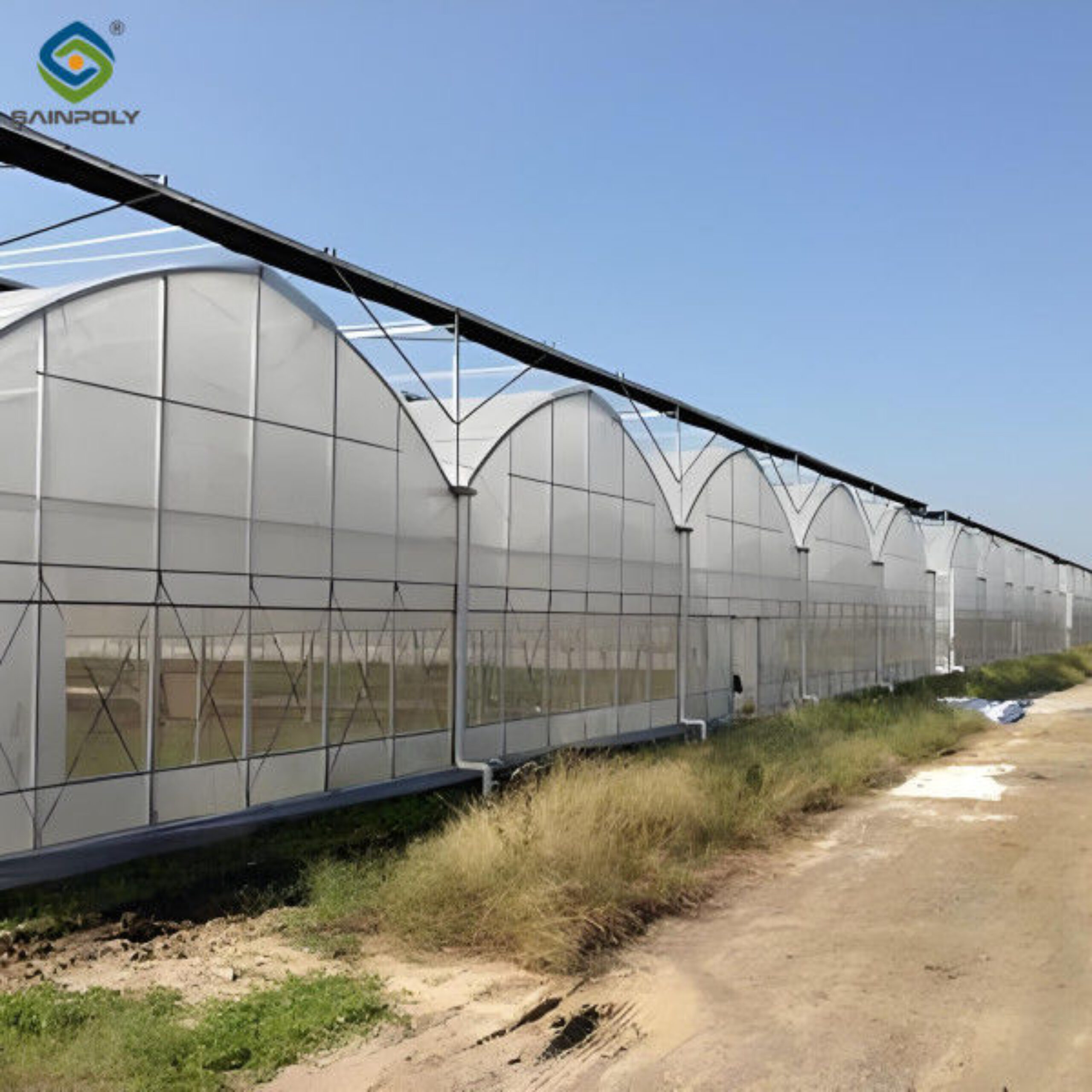 Modern Multi-span Plastic Film Greenhouse Frame Structure For Commercial Agriculture