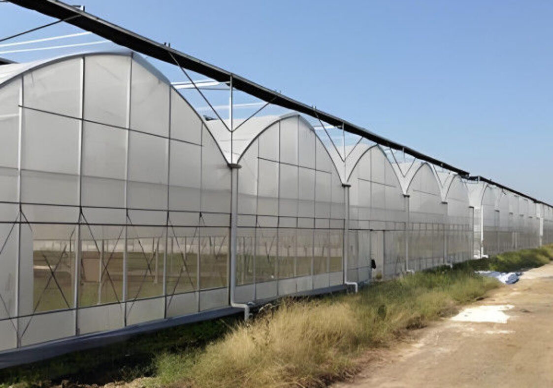 Modern Multi-span Plastic Film Greenhouse Frame Structure For Commercial Agriculture