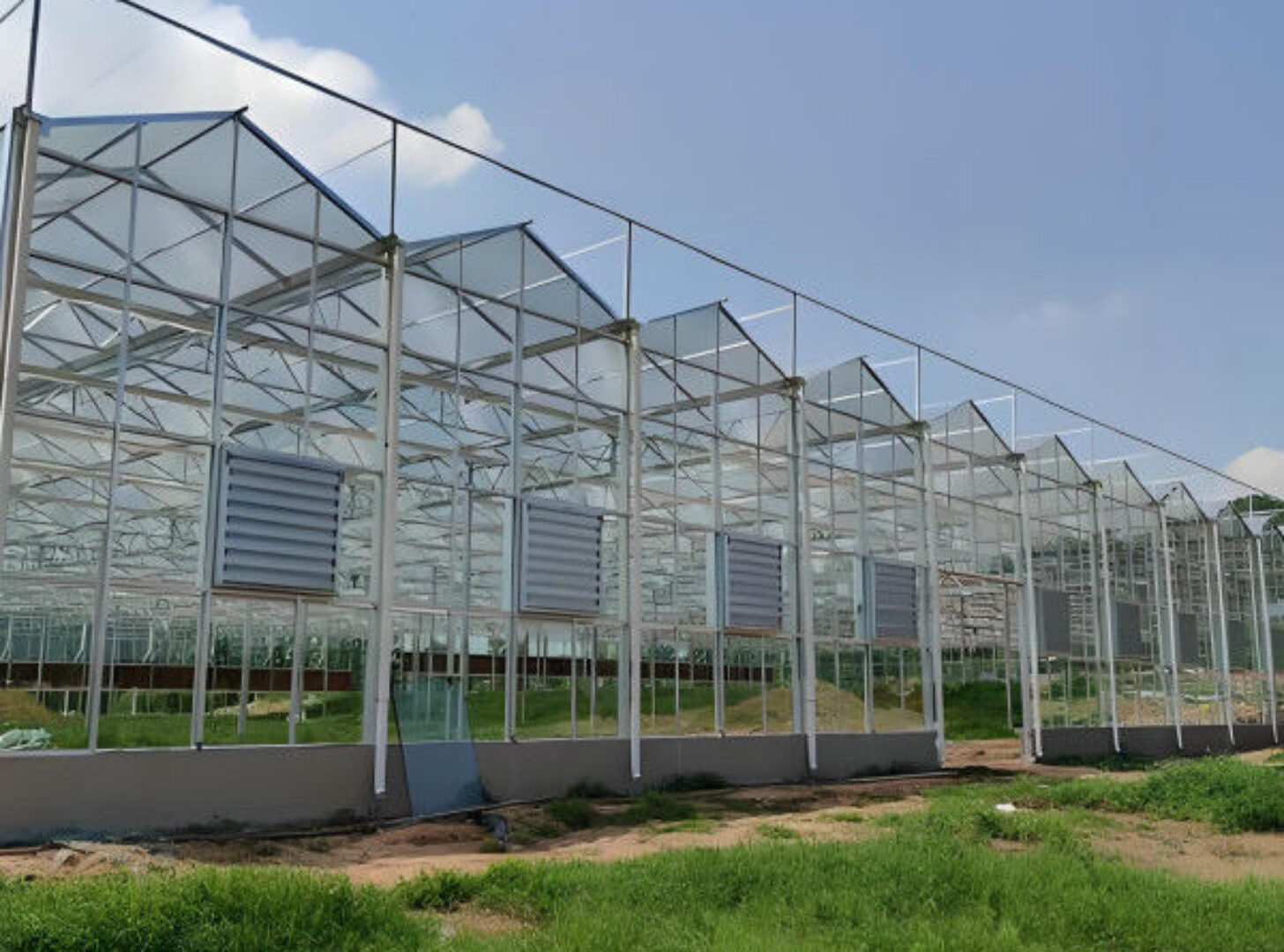 Modern Venlo Glass Greenhouse Plant Tomato Cucumbers High Wind Resistance