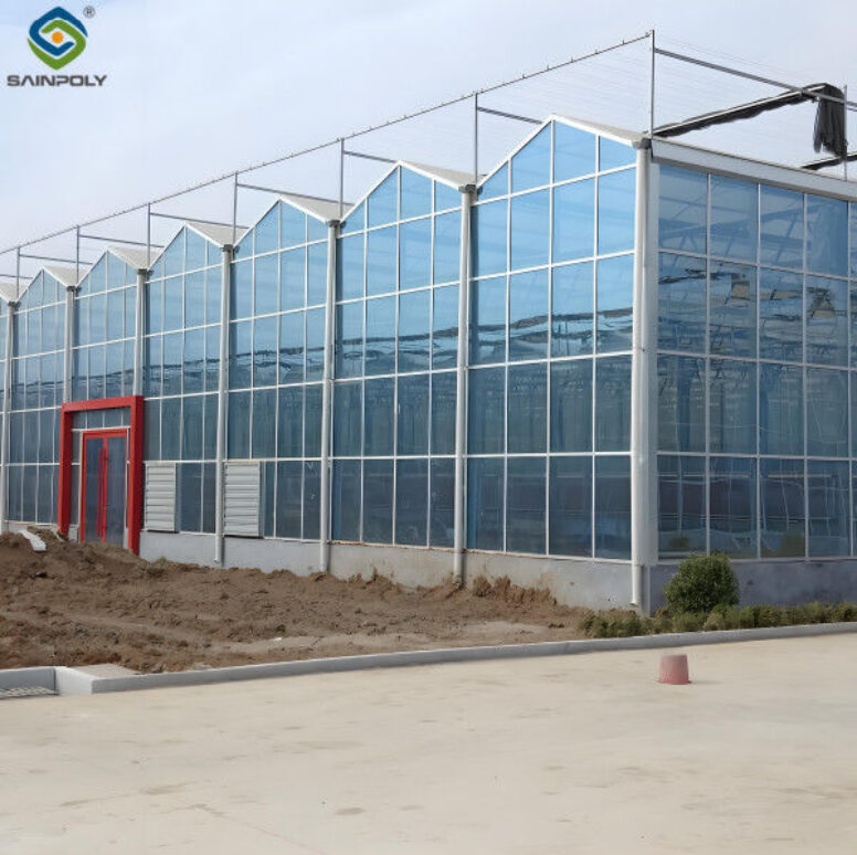 Modern Venlo Glass Greenhouse Plant Tomato Cucumbers High Wind Resistance