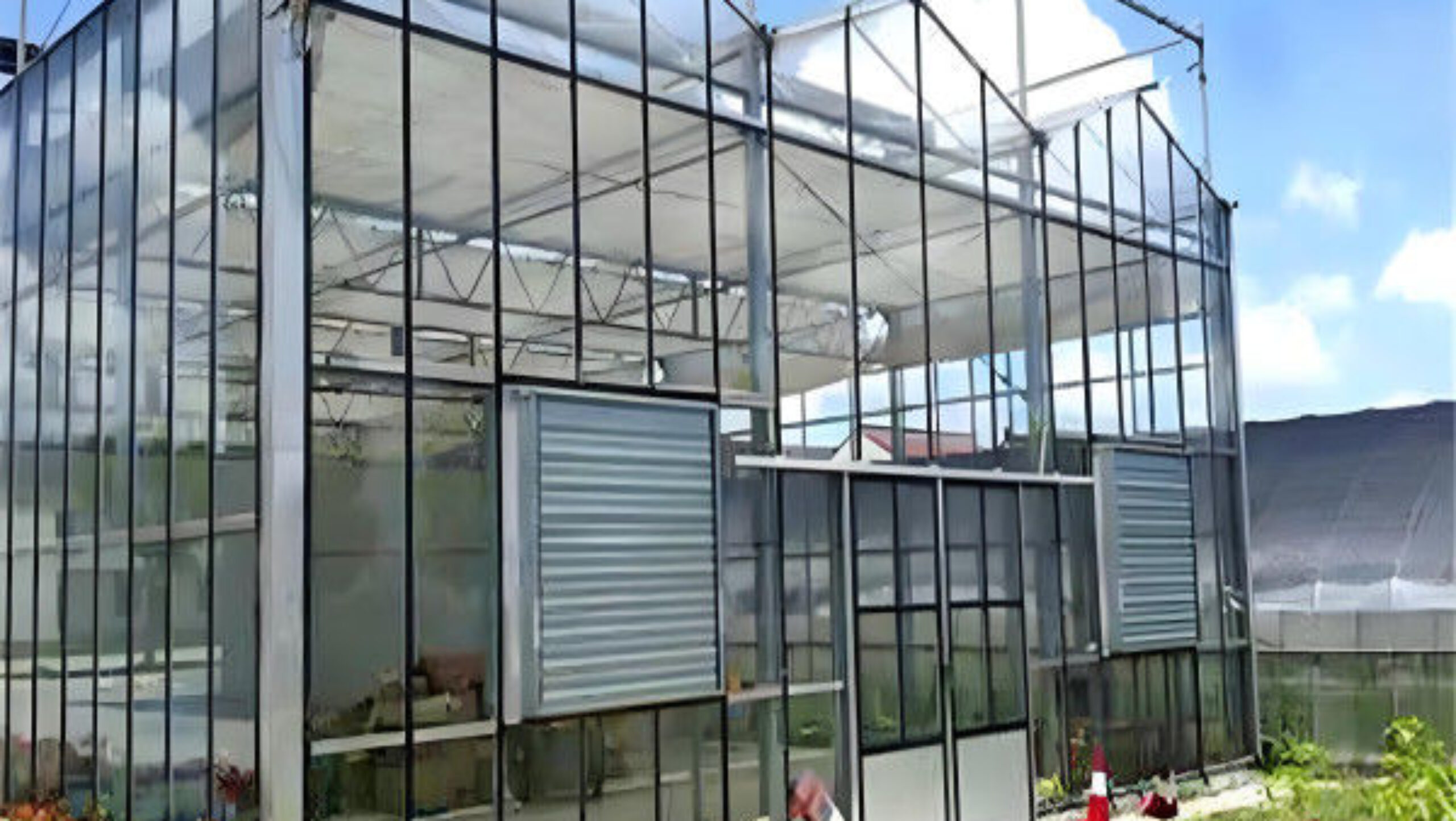 Modern Venlo Glass Greenhouse Plant Tomato Cucumbers High Wind Resistance