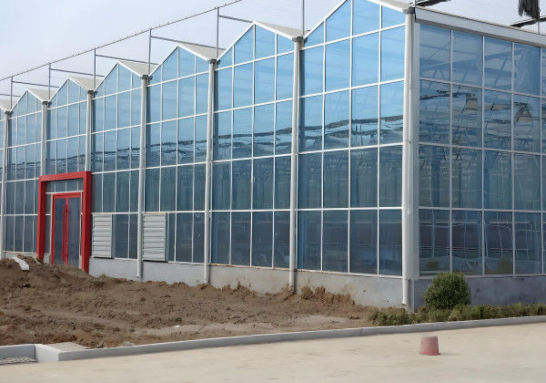 Modern Venlo Glass Greenhouse Plant Tomato Cucumbers High Wind Resistance