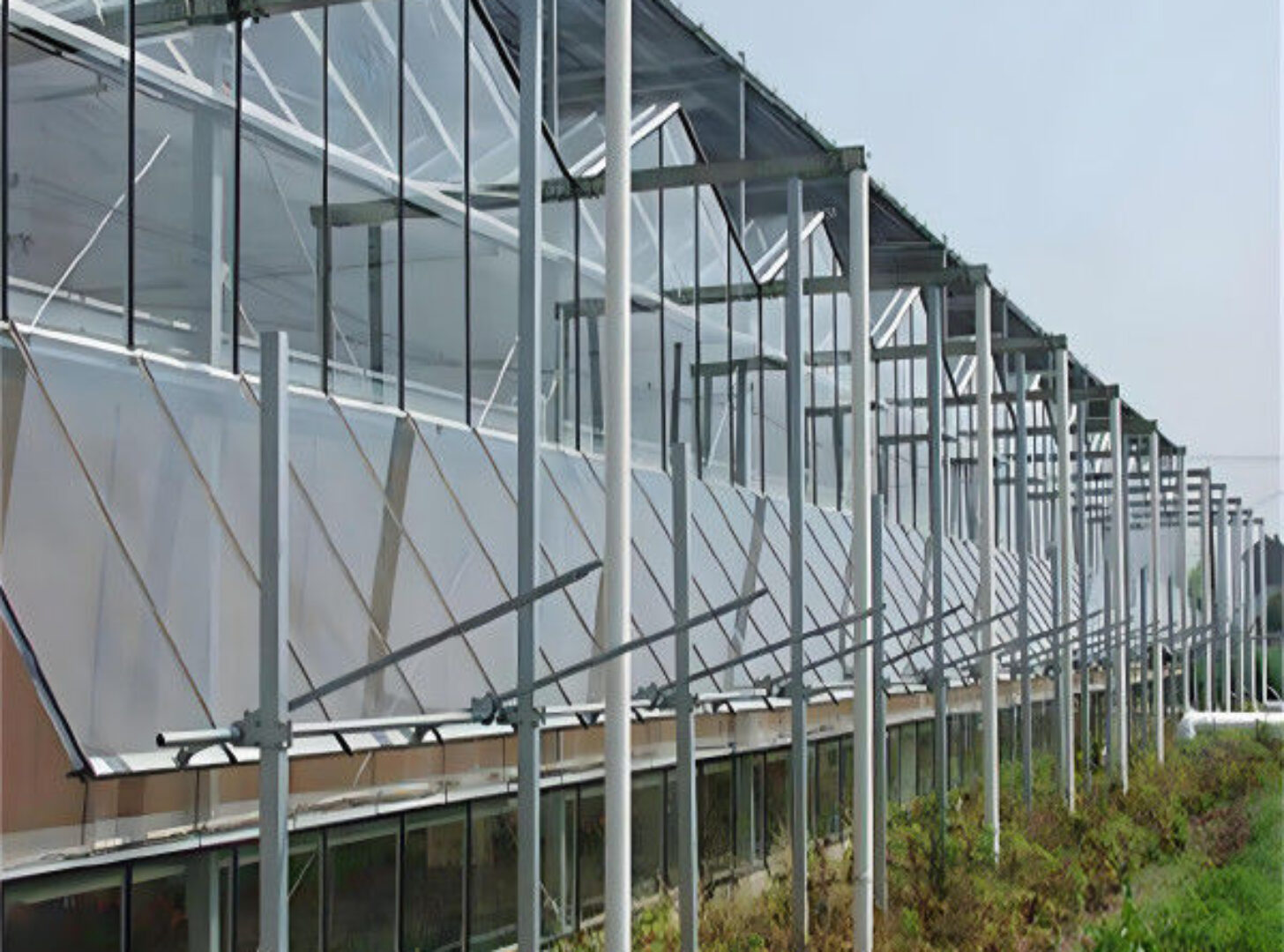 Modern Venlo Greenhouse Farming Commercial Glass Greenhouse With Steel Frame