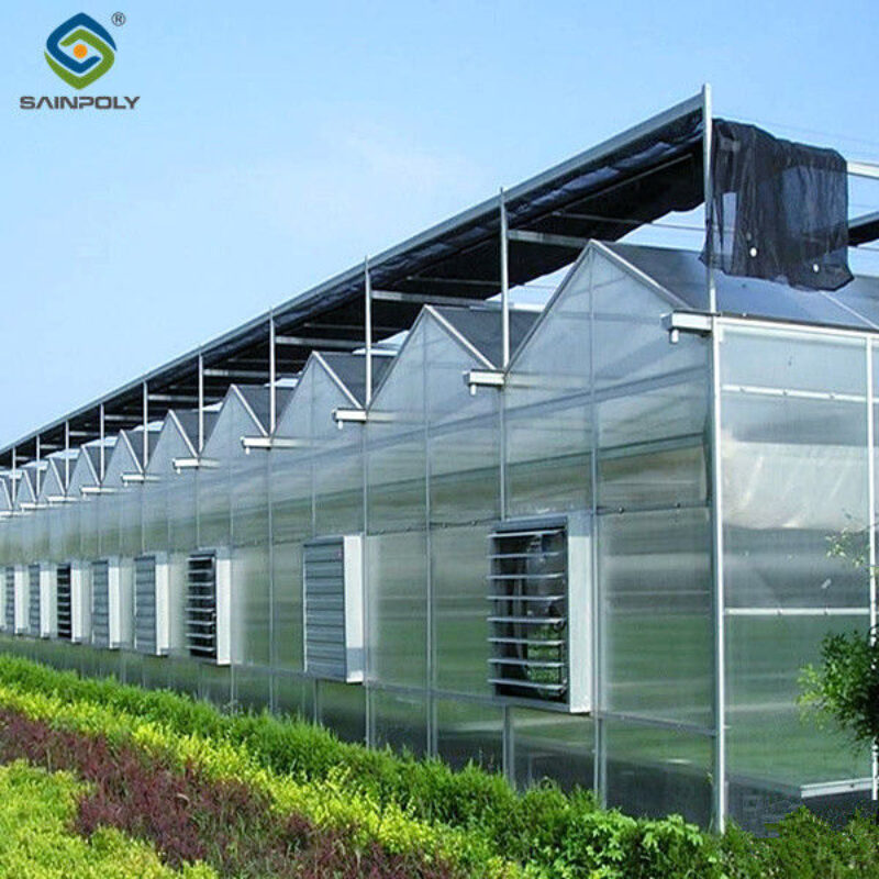 Multi Span Agricultural Polycarbonate Green House Venlo Style Greenhouse