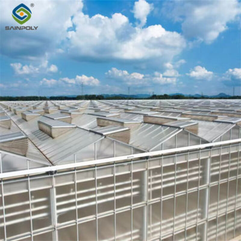 Multi Span Agricultural Polycarbonate Green House Venlo Style Greenhouse