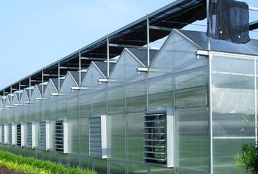 Multi Span Agricultural Polycarbonate Green House Venlo Style Greenhouse