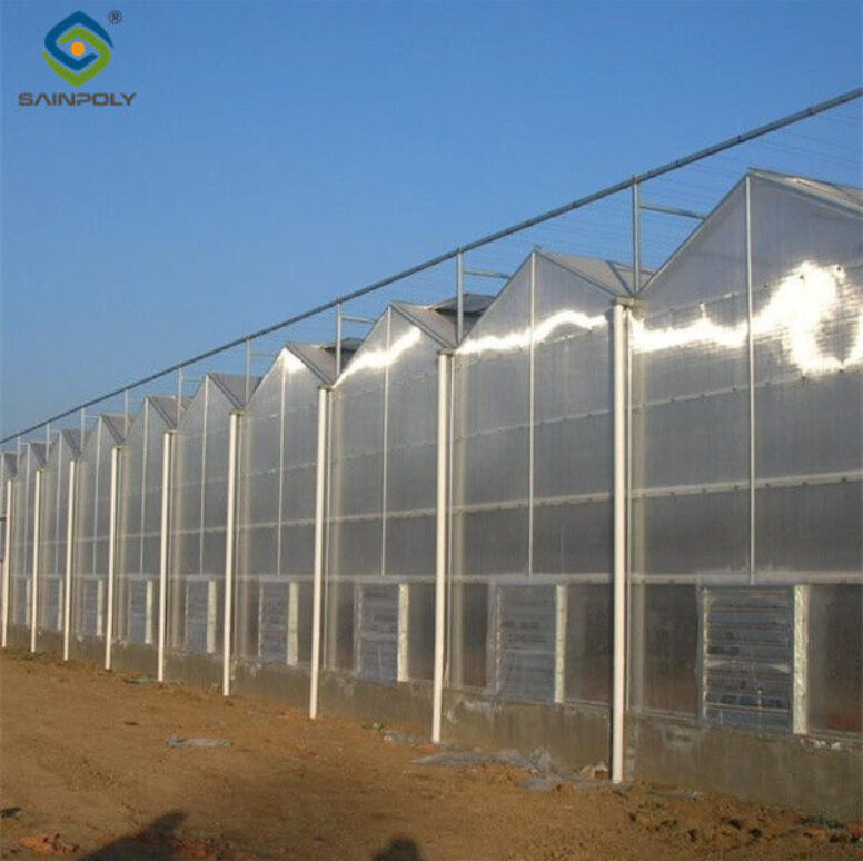 Multi Span Agricultural Polycarbonate Green House Venlo Style Greenhouse