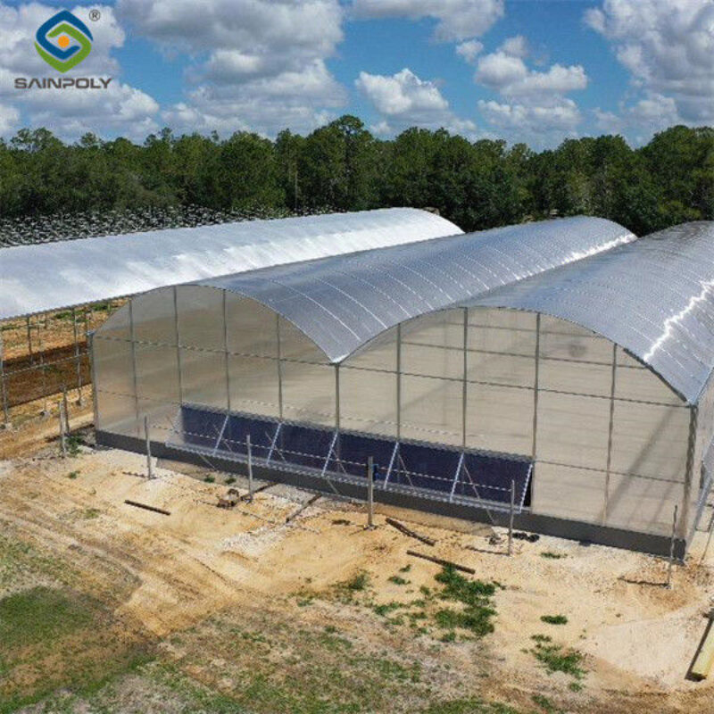 Multi Span Arch Roof Polycarbonate Greenhouse With Intelligent Systems