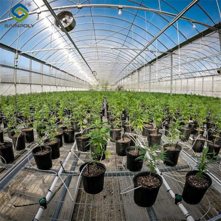 Multi Span Arch Roof Polycarbonate Greenhouse With Intelligent Systems