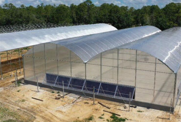 Multi Span Arch Roof Polycarbonate Greenhouse With Intelligent Systems