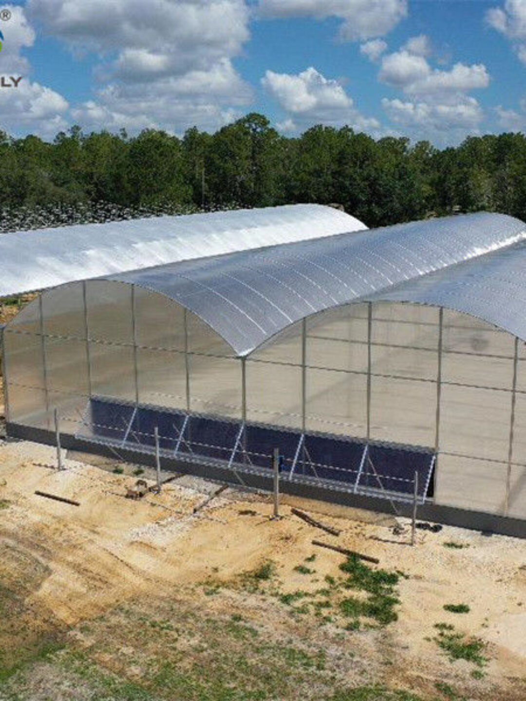 Multi Span Arch Roof Polycarbonate Greenhouse With Intelligent Systems