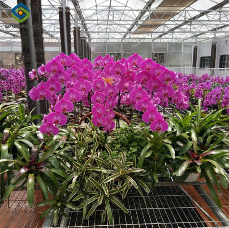 Multi Span Arch Roof Polycarbonate Greenhouse With Intelligent Systems